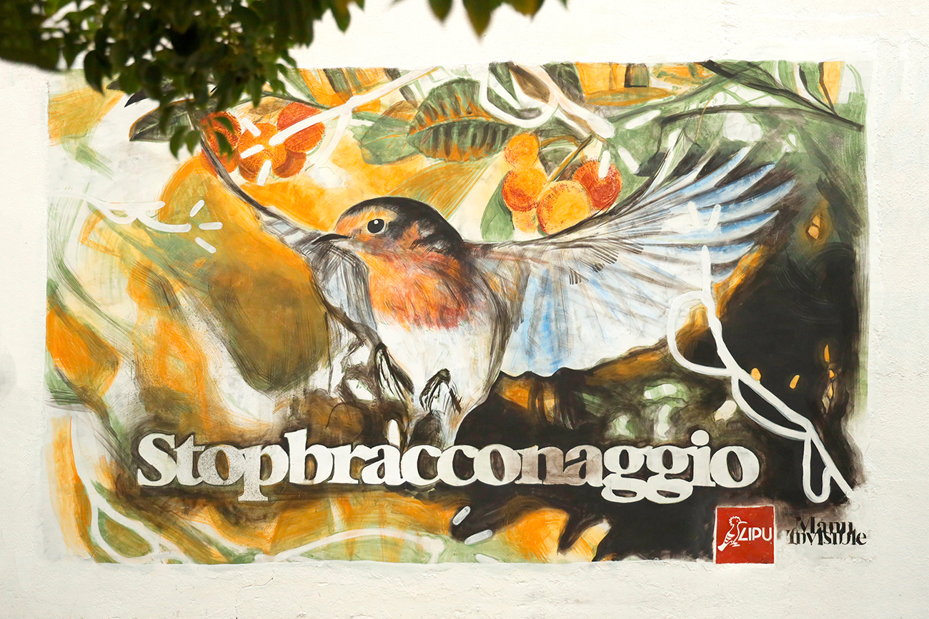 ''Stopbracconaggio'' Traditional affresco on wall 4,0 x 2,4 m (workshop) Cagliari 2021